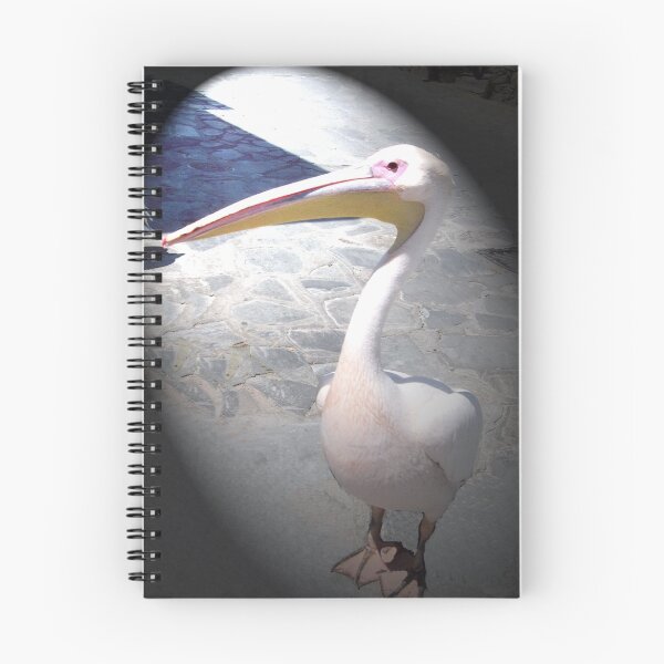 Item preview, Petros the pelican designed and sold by Marylamb.