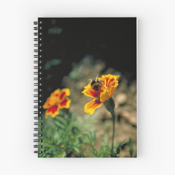 Artikelvorschau, Bumblebee on Marigold entworfen und verkauft von Larry149.