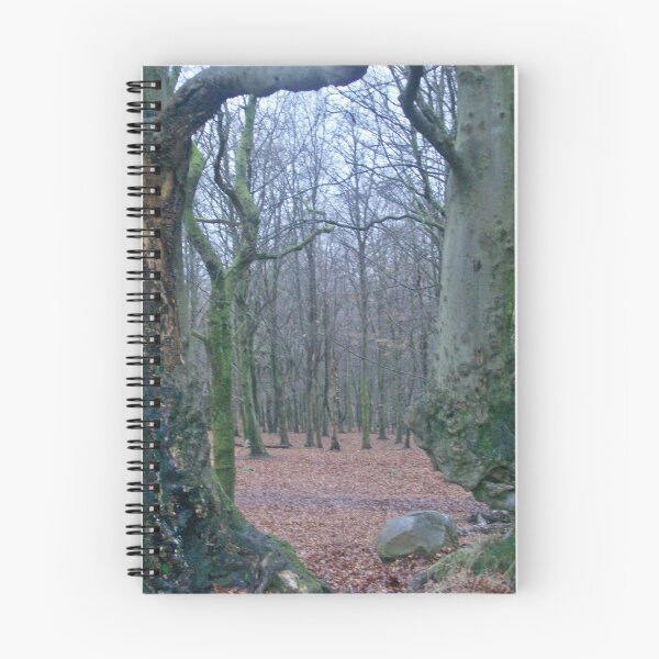 Artikelvorschau, Enchanted Woods entworfen und verkauft von Emmafitzgerald.