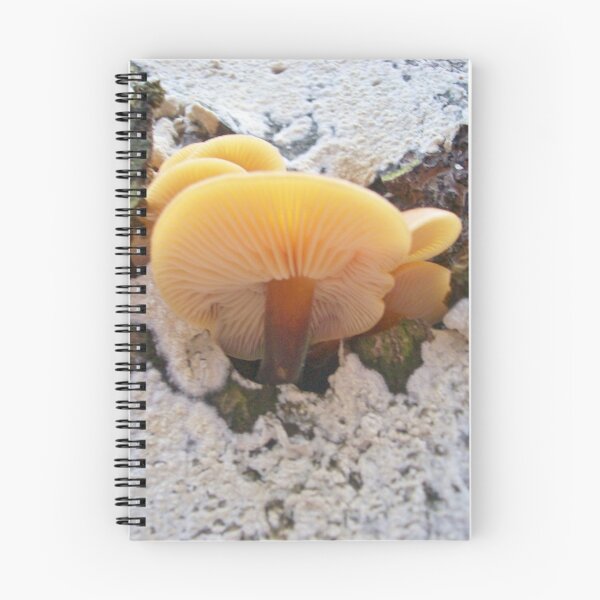 Item preview, Wild Mushrooms designed and sold by Emmafitzgerald.
