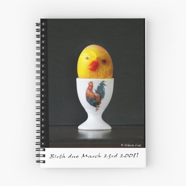 Aperçu de l'œuvre Egg and Chick créée et vendue par Gilberte.