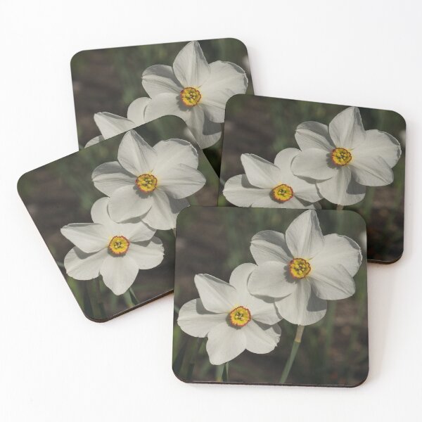 Item preview, A Pair of Fragrant Poet's Daffodils, Celebrating Spring designed and sold by Georgia Mizuleva.