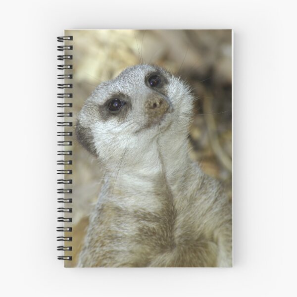 Item preview, Meerkat designed and sold by Aussiebluey.