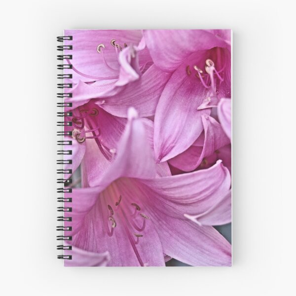 Item preview, Pink Lily designed and sold by gypsygirl.