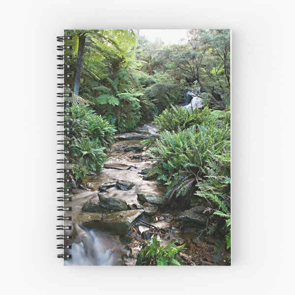 Artikelvorschau, Leura Cascades in The Blue Montains entworfen und verkauft von Ben Shaw.
