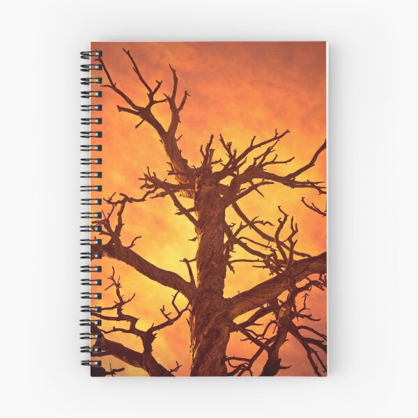 Item preview, HELL designed and sold by Charles Dobbs Photography.