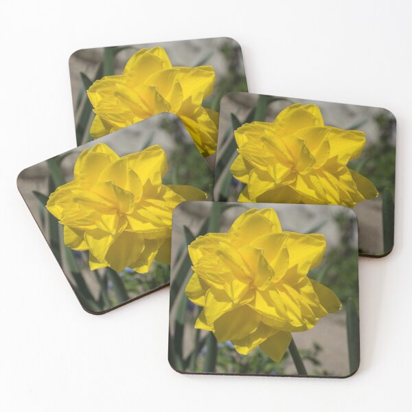 Item preview, Sunny Yellow Spring - a Golden Double Daffodil designed and sold by Georgia Mizuleva.