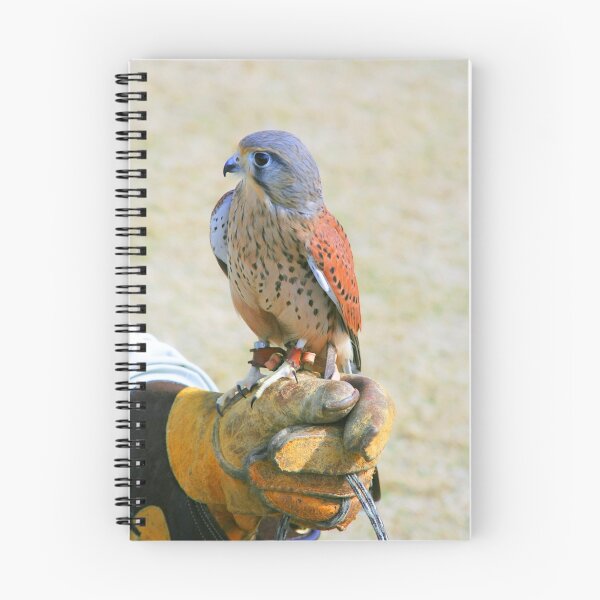 Item preview, Falconer designed and sold by Wendy Mogul.