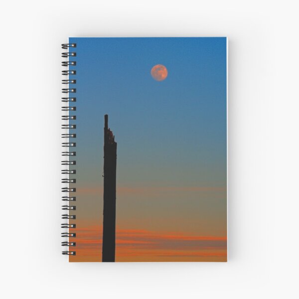 Moon Post Spiral Notebook