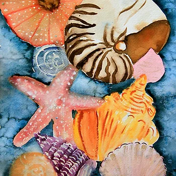 Artwork thumbnail, Shell Parade by WildColor