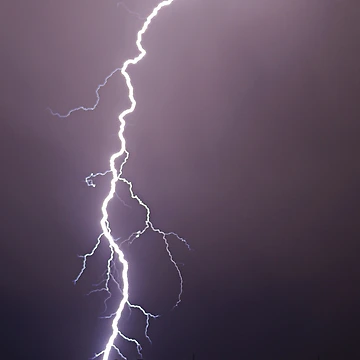 Artwork thumbnail, Lightning Roots by Dennis Jones - CameraView