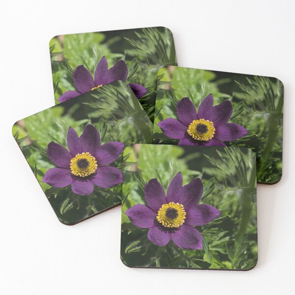 Item preview, Deep Purple Easter Anemone Blossom designed and sold by Georgia Mizuleva.