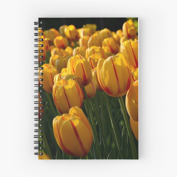 Item preview, Flowers designed and sold by Tim Yuan.