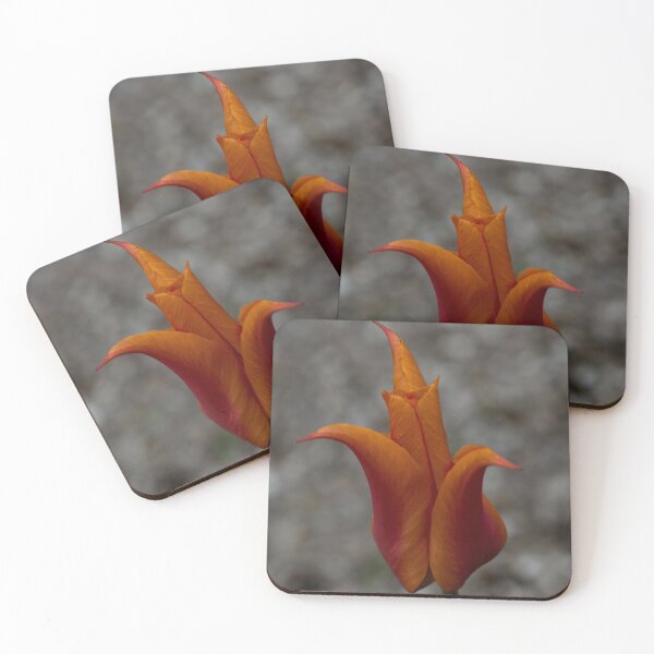 Item preview, A Flamboyant Flame Tulip in a Pebble Garden designed and sold by Georgia Mizuleva.