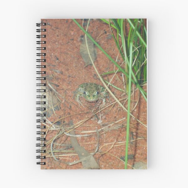 Item preview, Find my little frog friend designed and sold by cheridan.