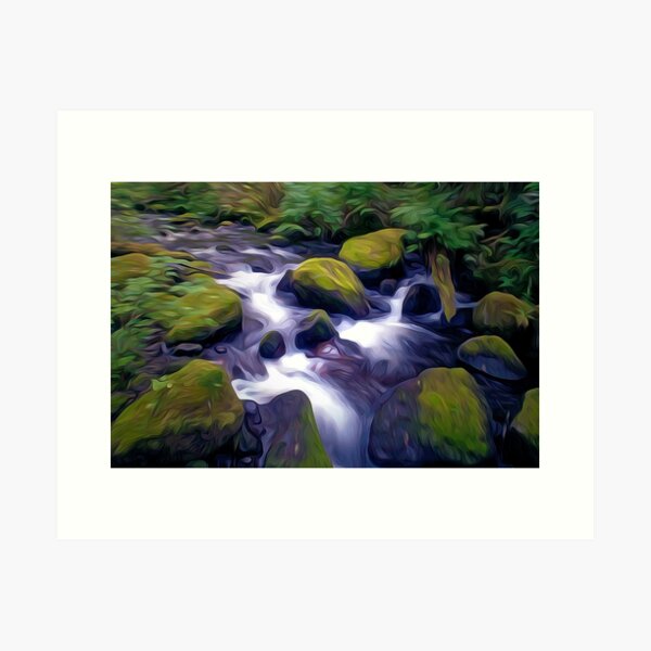 Mossy stream Art Print