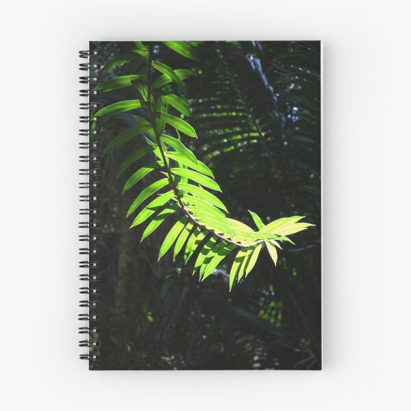 Item preview, Vivid designed and sold by Walter Quirtmair.