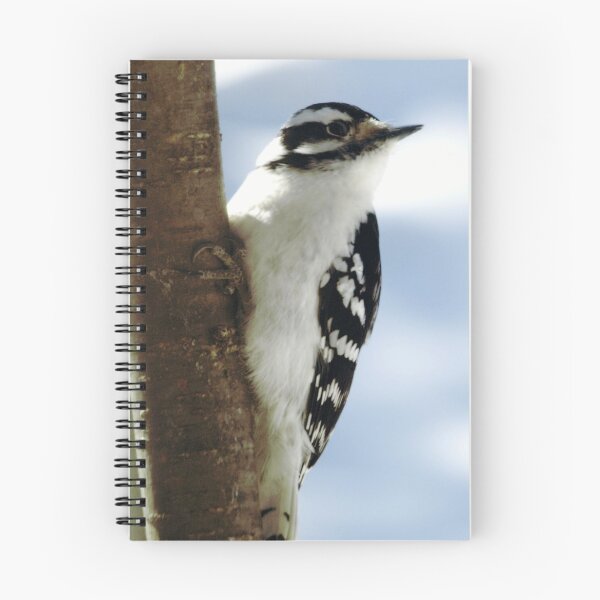 Item preview, Downy designed and sold by Sian Houle.