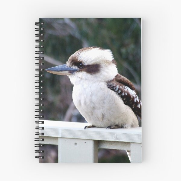 Item preview, Kookaburra australiana designed and sold by Sharon McRae.
