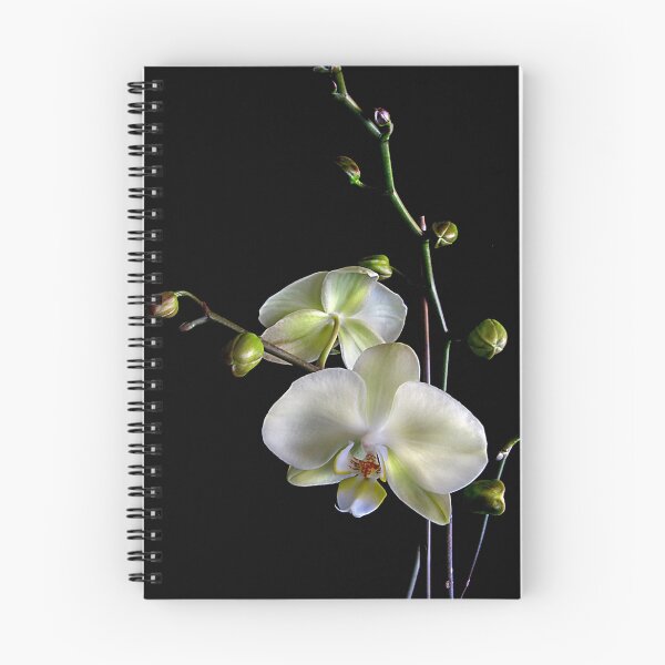 Item preview, I Love Orchids designed and sold by hammye01.