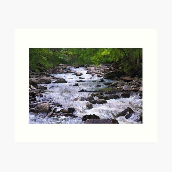 Spencer Creek - Summer Art Print