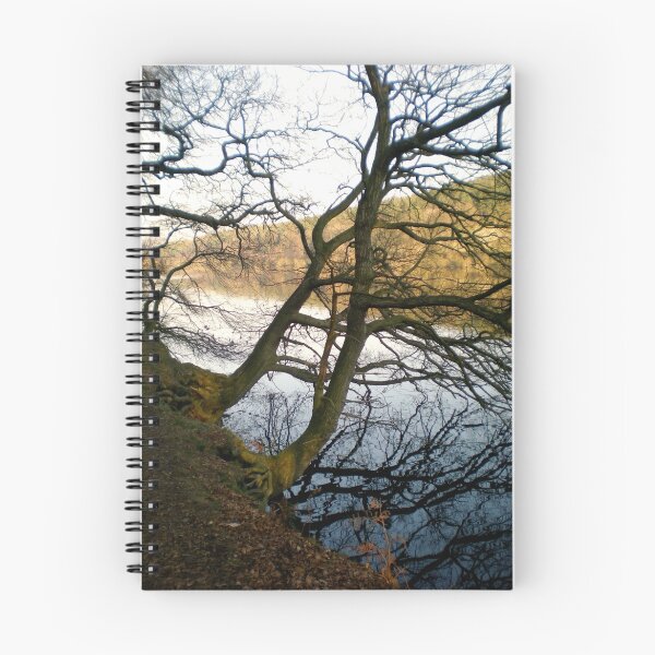Item preview, Trees over damflask reservoir designed and sold by lewis caley.