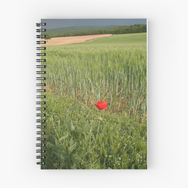 Item preview, Lone Poppy designed and sold by jcjimages.
