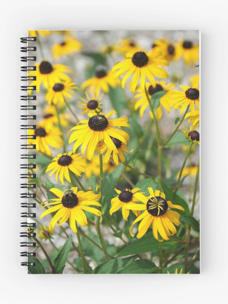 Thumbnail 1 of 3, Journal, Untitled designed and sold by Lam Tran.