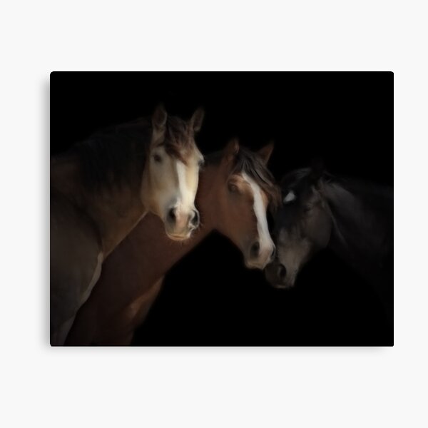 Desert Ghosts Canvas Print