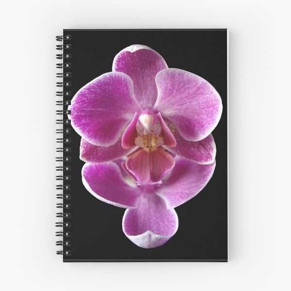 Artikelvorschau, Mirror Image entworfen und verkauft von orchiddesign.