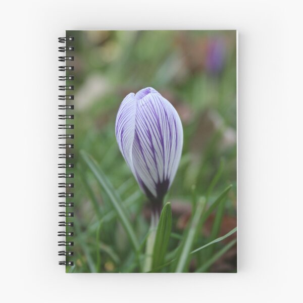Item preview, Shy designed and sold by Edward Gunn.