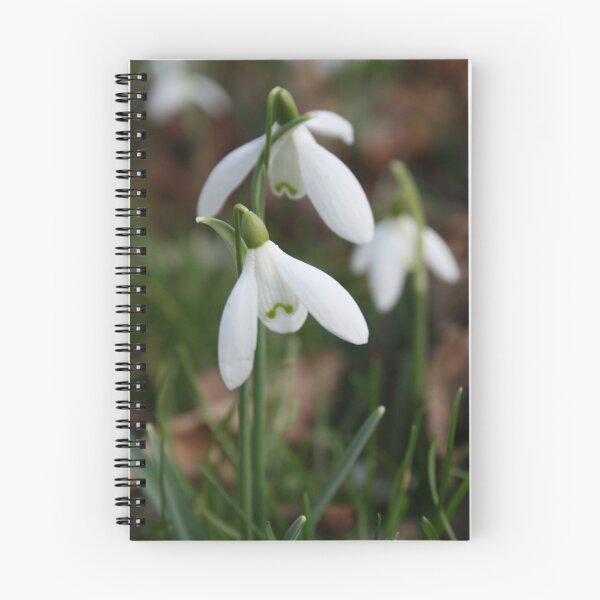 Item preview, Snowdrops designed and sold by Edward Gunn.