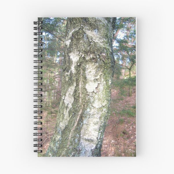 Item preview, BIRCH designed and sold by HELUA.