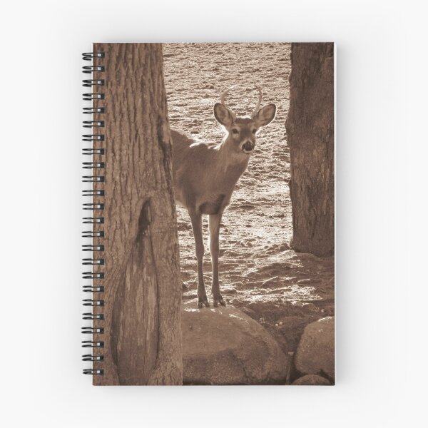 Item preview, Cautious but Steady designed and sold by Nichole Schoff.