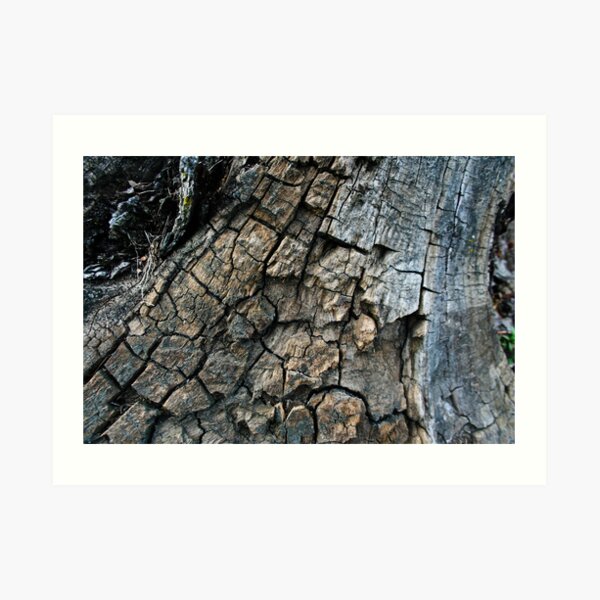 Texture Art Print