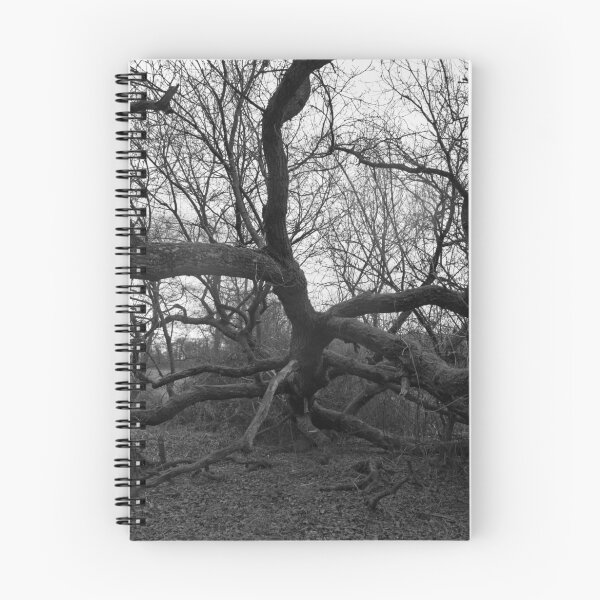 Item preview, Twisted and Broken designed and sold by Justine Humphries.