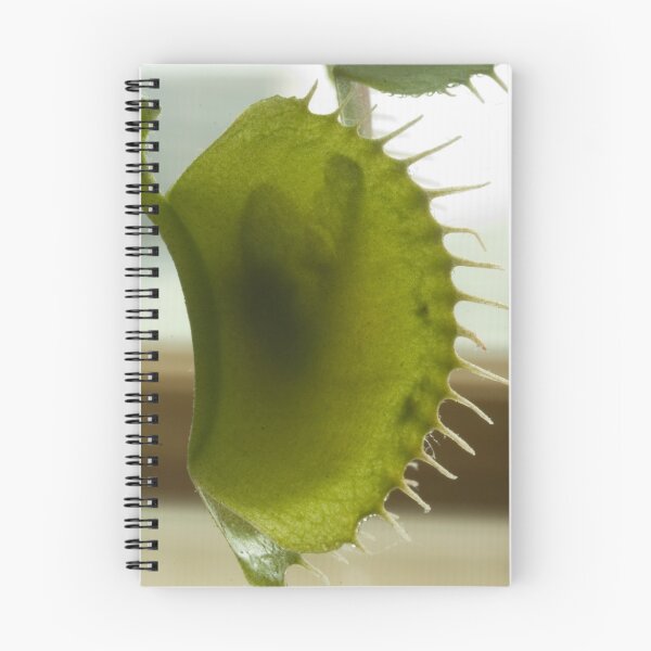 Item preview, Flytrap designed and sold by Chris Clarke.