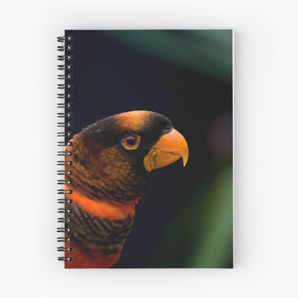 Item preview, Colourful Bird Side profile designed and sold by nayamina.