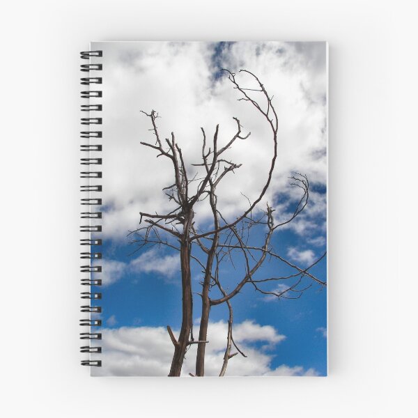 Item preview, Drought designed and sold by daverach1.