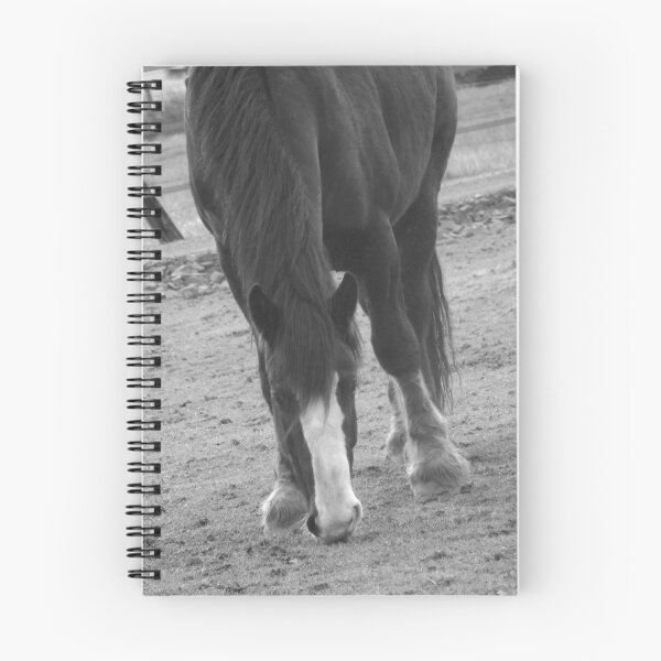 Artikelvorschau, Horse 1 entworfen und verkauft von carpenter777.