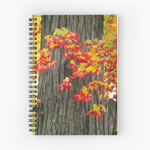 Item preview, Autumn Leaves designed and sold by rdshaw.