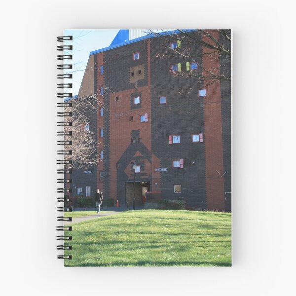 Item preview, Byker Wall in a howling gale designed and sold by Micky McGuinness.
