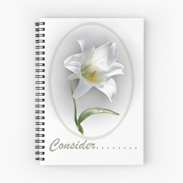 Item preview, considerar designed and sold by picketty.