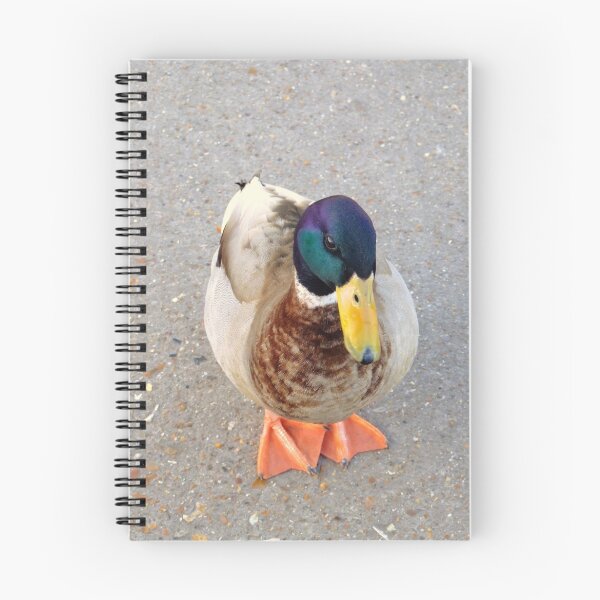 Item preview, Hello Mr Duck designed and sold by CinB.
