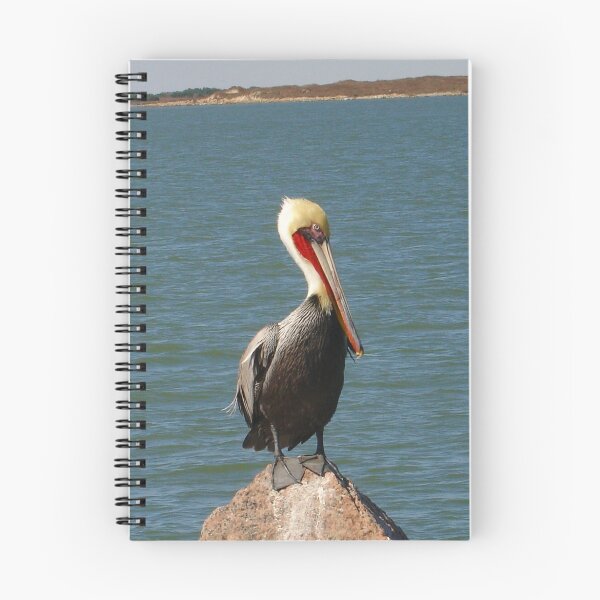 Item preview, Pelican designed and sold by Cathy Jones.
