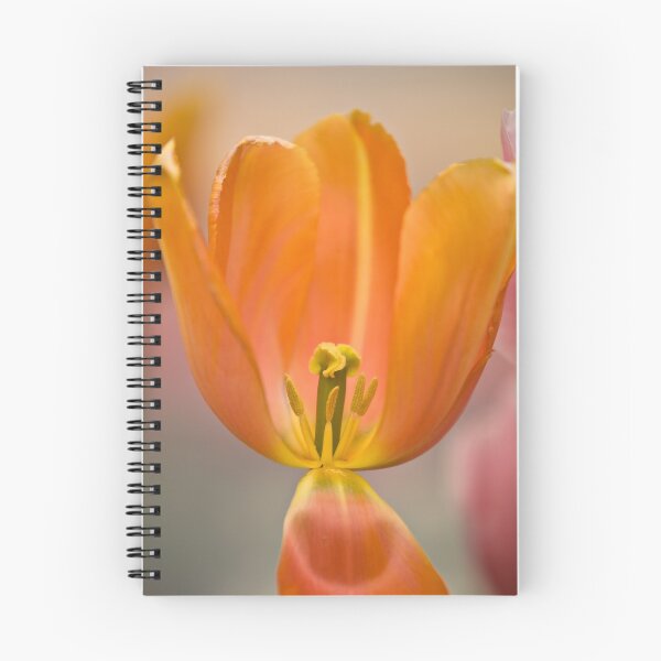 Item preview, Orange Tulip designed and sold by Robert Groom.