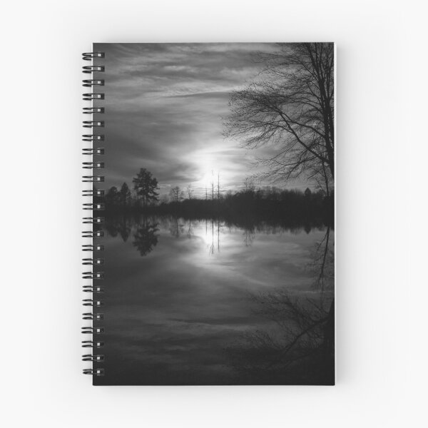 Aperçu de l'œuvre Georgia Sunset (Grayscale) créée et vendue par JLDunn.