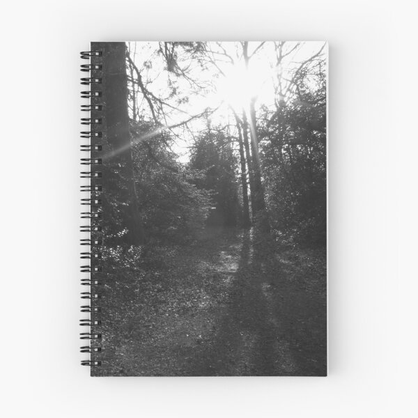Item preview, "Guiding light" designed and sold by calam19.