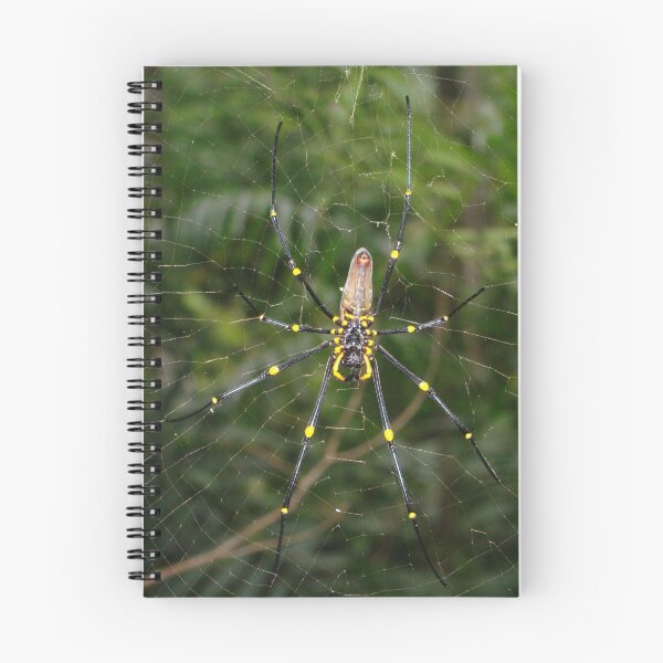 Item preview, golden orb designed and sold by PeaceM.