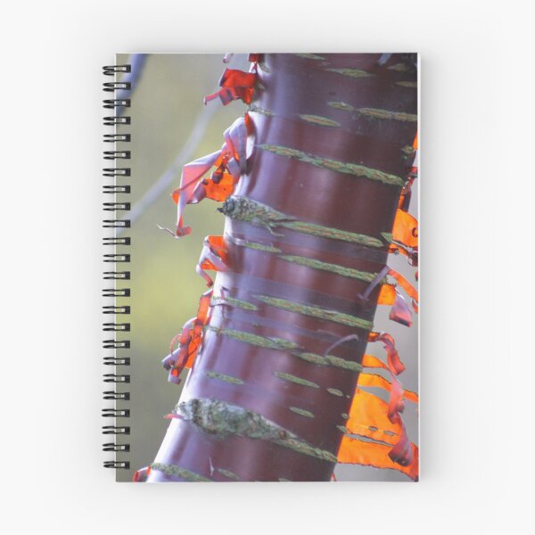 Item preview, Peel Away designed and sold by jdmphotography.